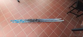 Bezky Salomon 196cm - 3