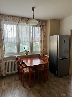Dlouhodobý pronájem 1+1 Karlovy Vary - 3