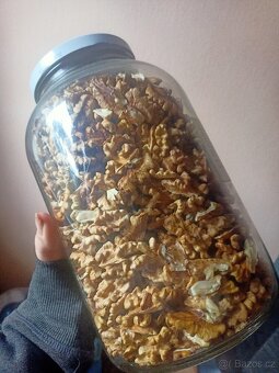 Vlašské ořechy - 3