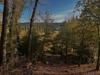 Prodej rekreační chaty - 3