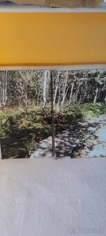 3 OBRAZY s místy známé ŠUMAVSKÉ KRAJINY - 3