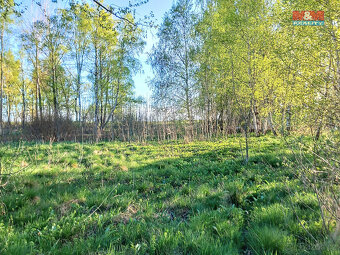 Prodej pozemku k bydlení v Staré Vodě, 2966 m2 - 3