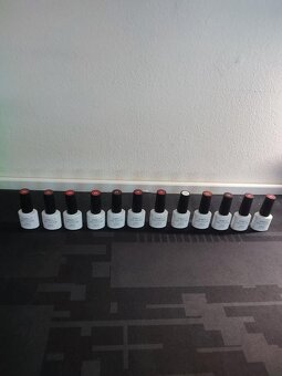 Sada 12 ks laků na nehty pro UV lampy (odstíny 370-381) - 3