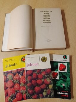 Naše zahrádka,Ovocnictví zelinářství,Škola ovocnáře - 3