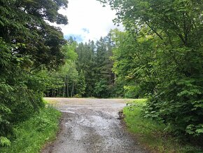 pronájem pozemku v Brdech - 3