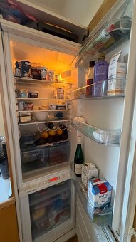 Lednička Electrolux ERN29800 - 3