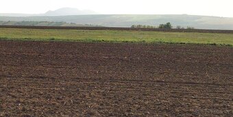 Prodej pole 3000 m² Velké Němčice - 3