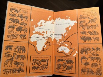 Světem zvířat - 3