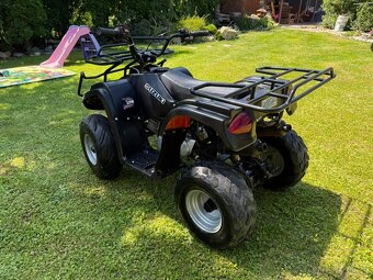 Dětská čtyřkolka atv 110 Dino - 3