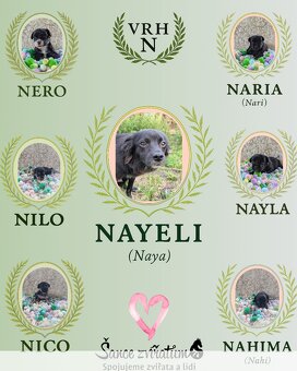 Naria - 3