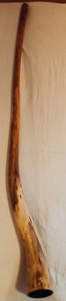 Australské didgeridoo - 3