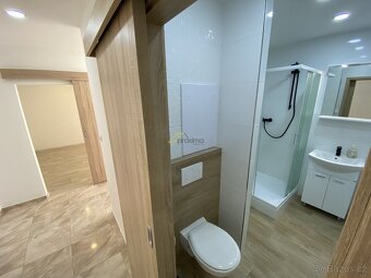 Pronájem zrekonstruovaného bytu 1+1, 43 m2 Plešivec - 3