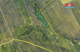 Prodej louky, 1189 m², Jalubí - 3