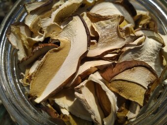 Sušené houby - ze Šumavy pod Boubínem - 3