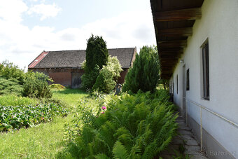 Starý Ples - rodinný dům s pozemkem 2375 m2 - 3