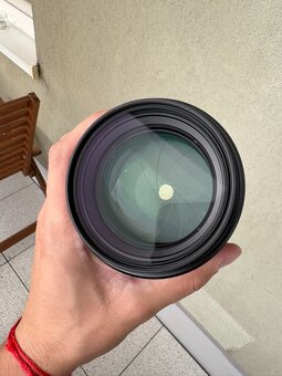 Sony 85mm F1.4 GM - 3