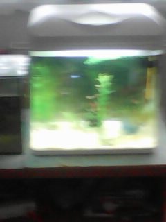 AKVARIJNI SET S OSVETLENIM NA 35 LITRU - 3