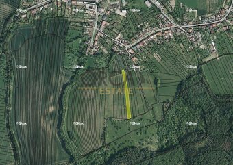 0,2 ha orné půdy v k. ú Cetechovice - 3