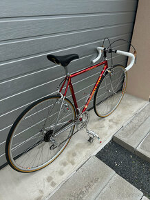 Olmo la Biciclissima - 3