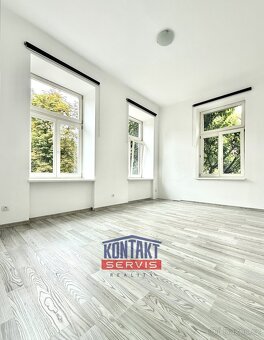 Pronájem prostorného a prosvětleného bytu 3+1 90 m2 v centru - 3