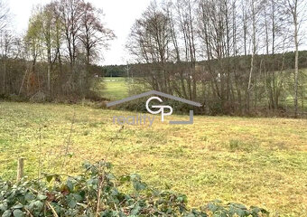 Prodej louky u obce Krasetín - Holubov - 3