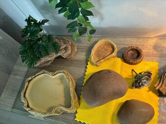 Terárium po agamě – plně vybavené - 3