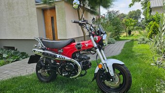 Honda DAX 125 2024 - 3