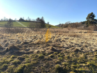 Prodej pozemku o CP 4486 m2 ke komerčním účelům v obci Stará - 3