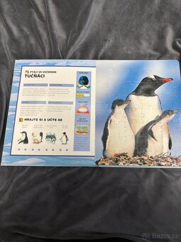 Země věčného sněhu - 3