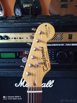 Tanglewood - 3