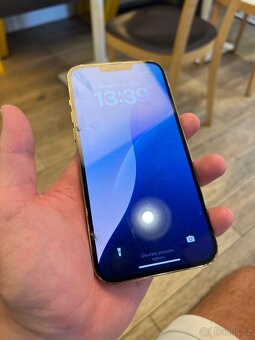 iPhone 13 pro max 512gb - 3