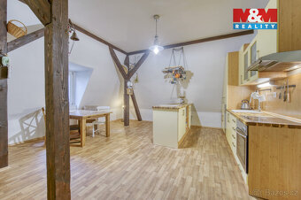 Prodej bytu 3+1, 118 m², Cheb, ul. Kachní kámen - 3