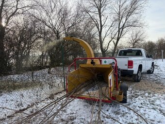 Kácení stromů - 3