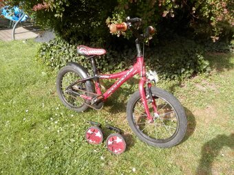 KOLOBĚŽKA  YEDOO  +  DĚTSKÉ  KOLO - 3