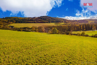 Prodej pole, 6484 m², Kolinec - 3