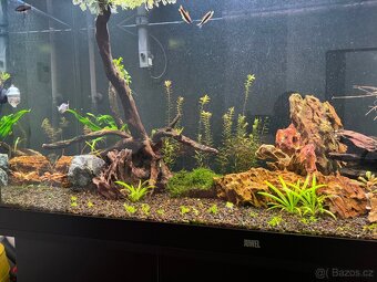 Kompletní set akvária Juwel Rio 350 LED s profi výbavou – TO - 3