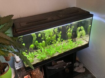 akvarium 200 l / filtr / led světlo - 3