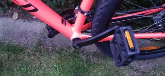 Specialized Rockhopper - 3