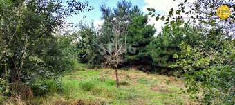 Prodej RD 4+1 s hospodářskou budovou a sadem v Dobro, 133605 - 3