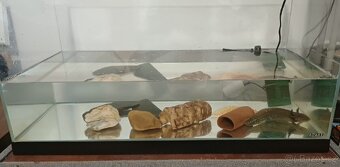 2x axelotl a akvárium - 3