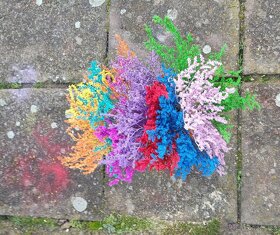 Duhová kytka - statice - 3