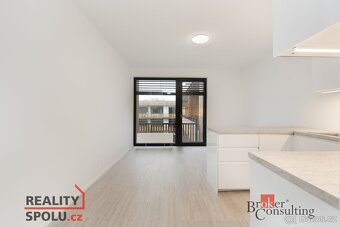 Pronájem, byty/1+kk, 30 m2, Kartónová 2844/10, 32600 Plzeň, - 3