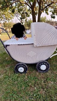 Retro Liberta - 3