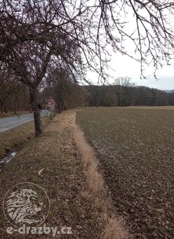 Pozemky o výměře 4609 m2, k.ú. a obci Janovice nad Úhlavou, - 3