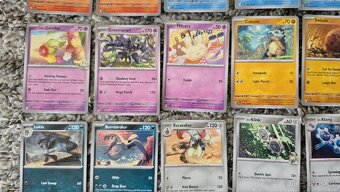 Pokémon Journey Together, 75 karet - 3