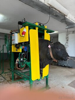 Staň se mistrem paznehtů – práce snů - 3