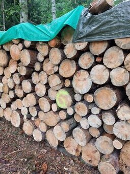 Palivové dřevo "suché" - 3