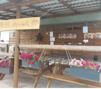 Tábor pro opravdové koňáky - 3