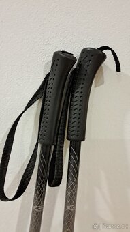 Hůlky na běžkování - 3