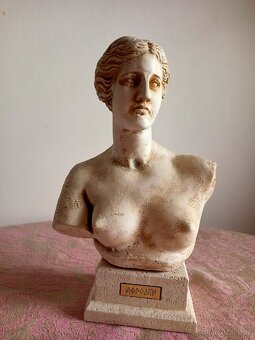 Busta Aphrodite - 3